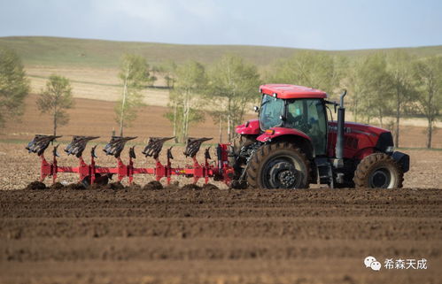 希森天成 馬鈴薯機械化種植關鍵技術及裝備的突破與引領